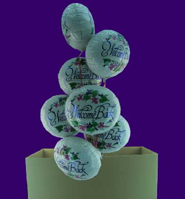 Artikel Welcome Karton Mittel