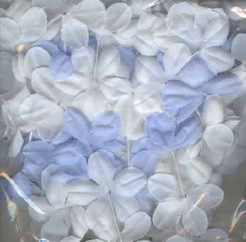 Flower Garland Blten Bild