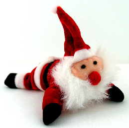 Nikolaus Magnet